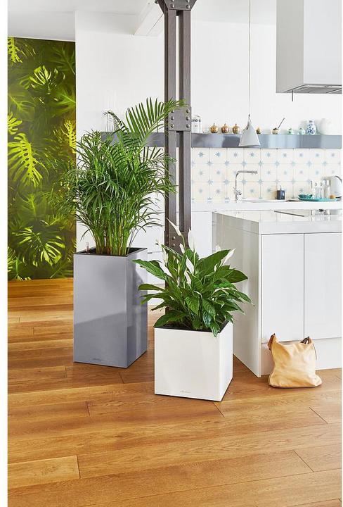 Productafbeelding Lechuza CANTO Premium 40 laag wit hoogglans (40 x 40 x 40 cm)