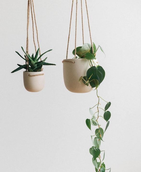 Actual product image Esmée Hanging pot (15 cm)