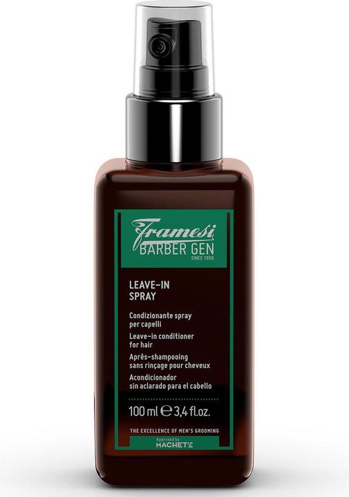 Produktbild Framesi BARBER GEN Leave-In Spray (100 ml)