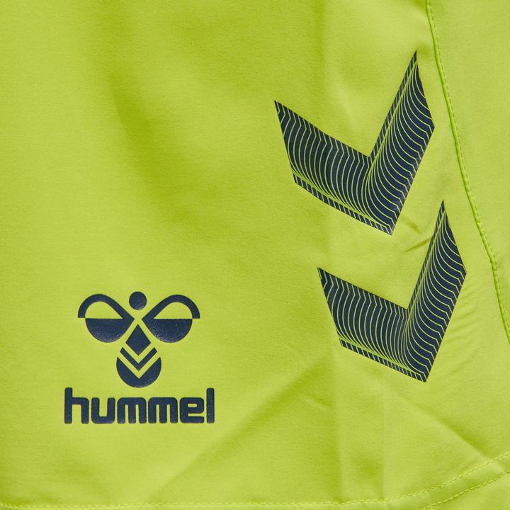 Actual product image hummel Lead Pro Training Shorts (M)