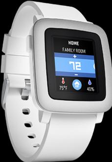 Actual product image Pebble Time (47.10 mm)