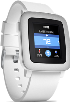 Actual product image Pebble Time (47.10 mm)