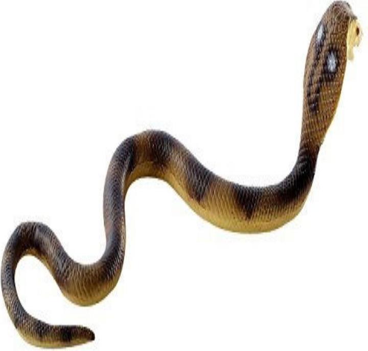 Image du produit Bullyland Cobra