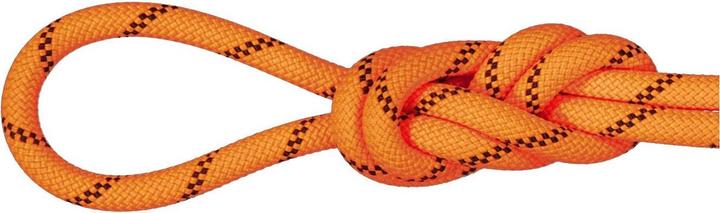 Produktbild Mammut 8.7 Alpine Sender Dry Rope (40 m)