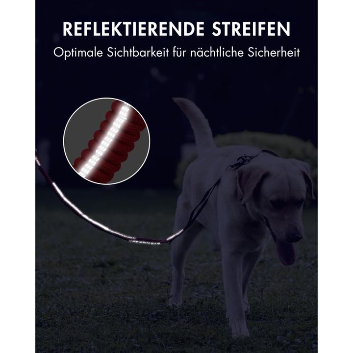 Produktbild Suba Hundeleine mit Sicherheitsgurt (Hund, Allgemein)