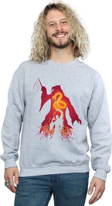 Produktbild Dumbledore Silhouette Sweatshirt (S)