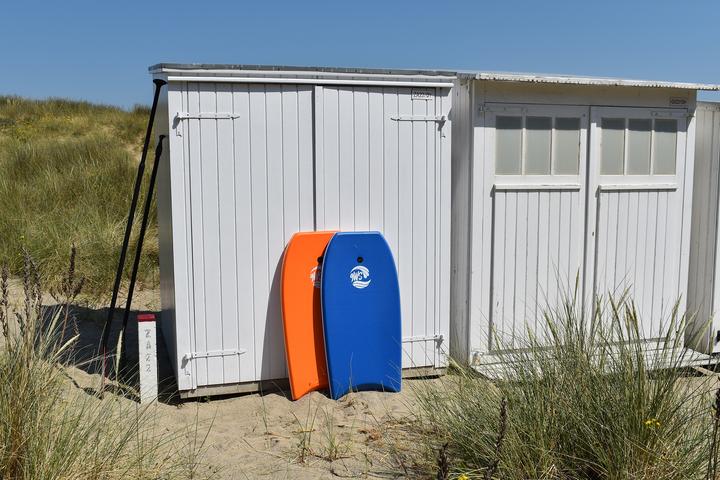 Actual product image 9WS Body Board 42" BLEU