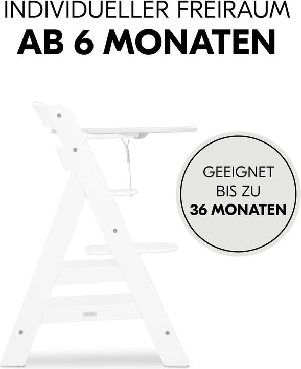 Produktbild Hauck Alpha Click Tray White