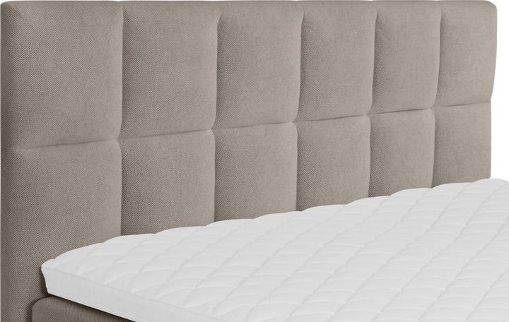 Immagine prodotto Livetastic Lorie (180 x 200 cm)