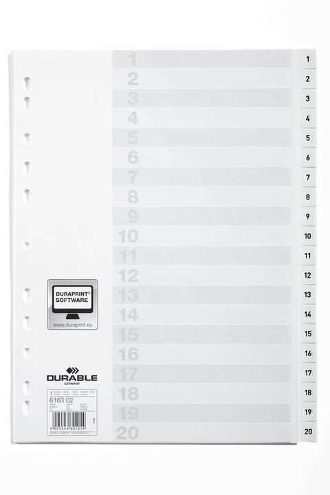 Actual product image Durable Index A4 1-20, with index sheet