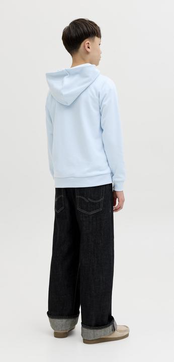 Produktbild Jack & Jones Jcofusion Graphic Sweat Hood Sn Jnr (152)