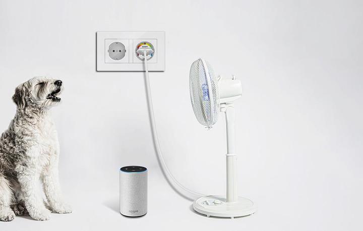 Actual product image Gosund smart plug