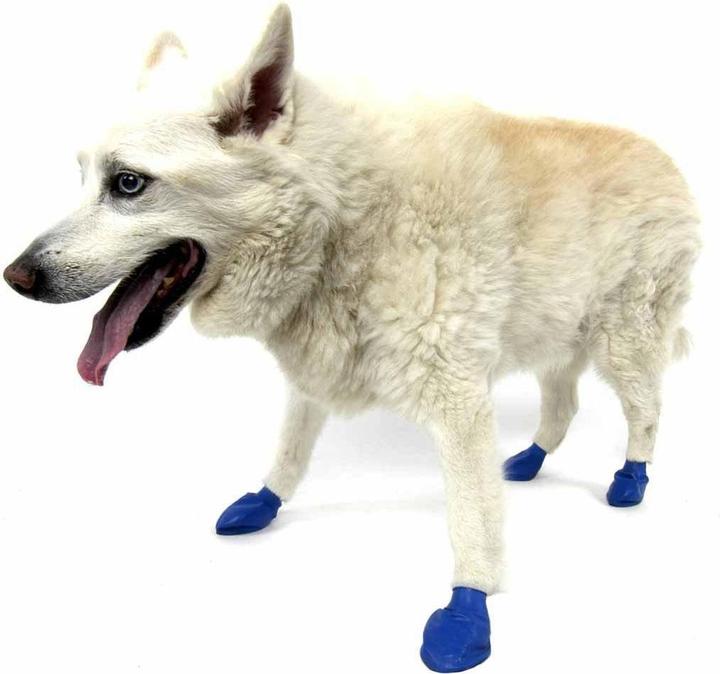 Produktbild Pawz Pfotenschutz (M, Hundeschuhe)