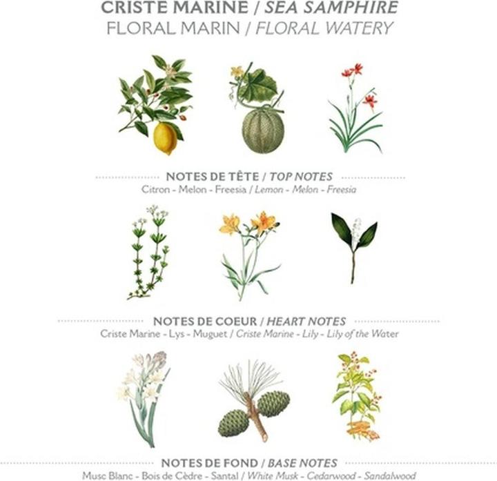 Immagine prodotto Panier des Sens Gel doccia al finocchio marino (250 ml)