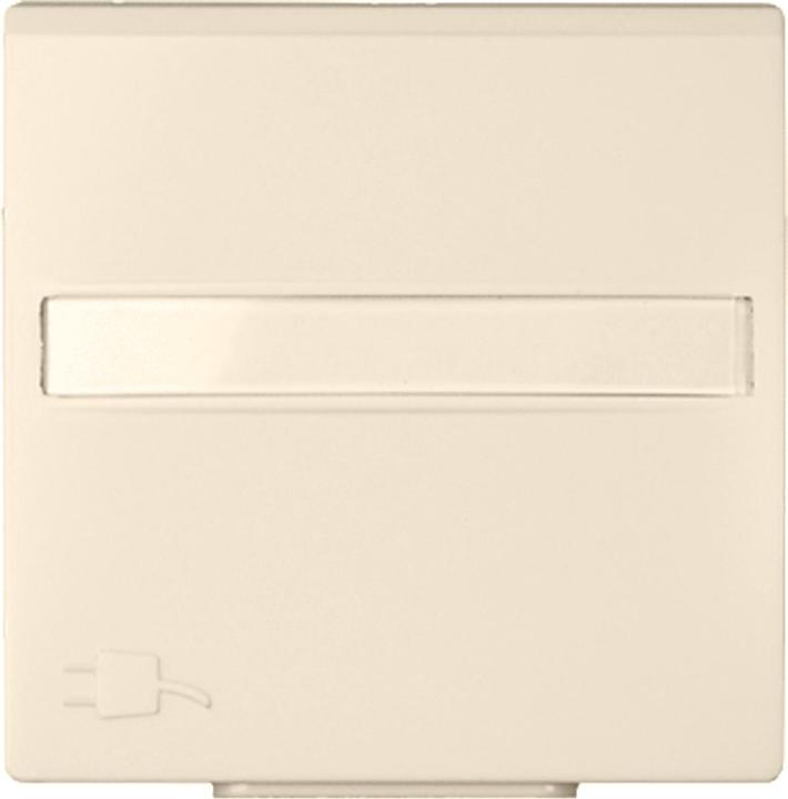 Actual product image Schneider Electric Central plate for socket outlet with 263164