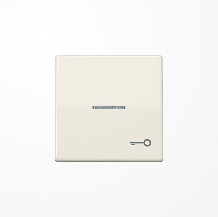 Actual product image JUNG Control rocker switch AS ws glz AS591KO5T