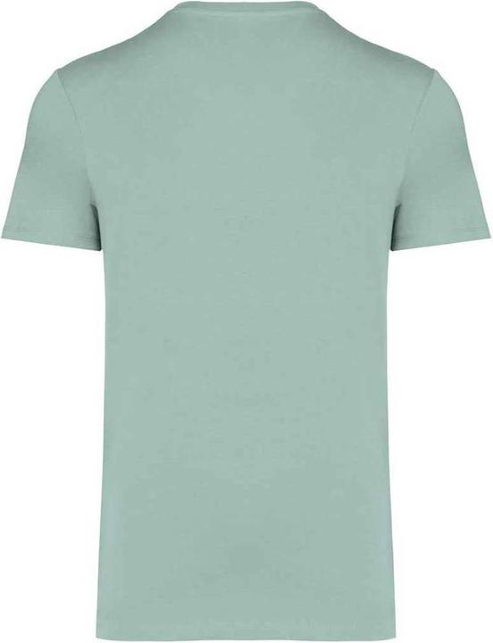 Actual product image Native Spirit Unisex Adult Heavyweight Slim T-Shirt (4XL)