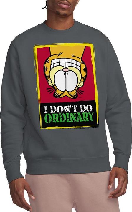 Actual product image Garfield Unisex Adult I Don't Do Ordinary Sweatshirt (L)