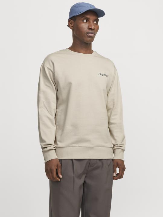 Actual product image Jack & Jones Jjebradley Graphic Sweat Crew Noos (M)