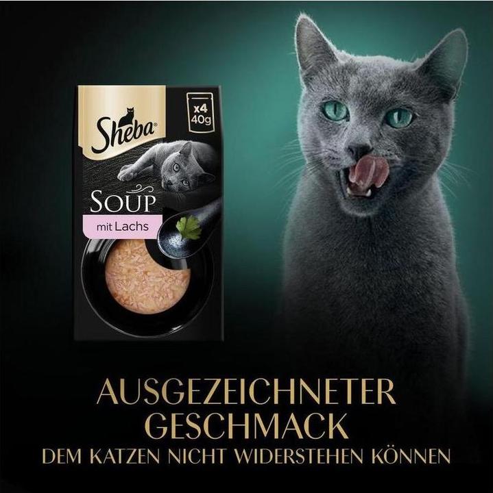 Actual product image Sheba Soup (Adult, 4 pcs., 160 g)