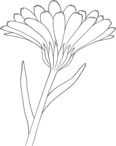 Produktbild 's Mädchen-Malbuch ab 3 Jahren