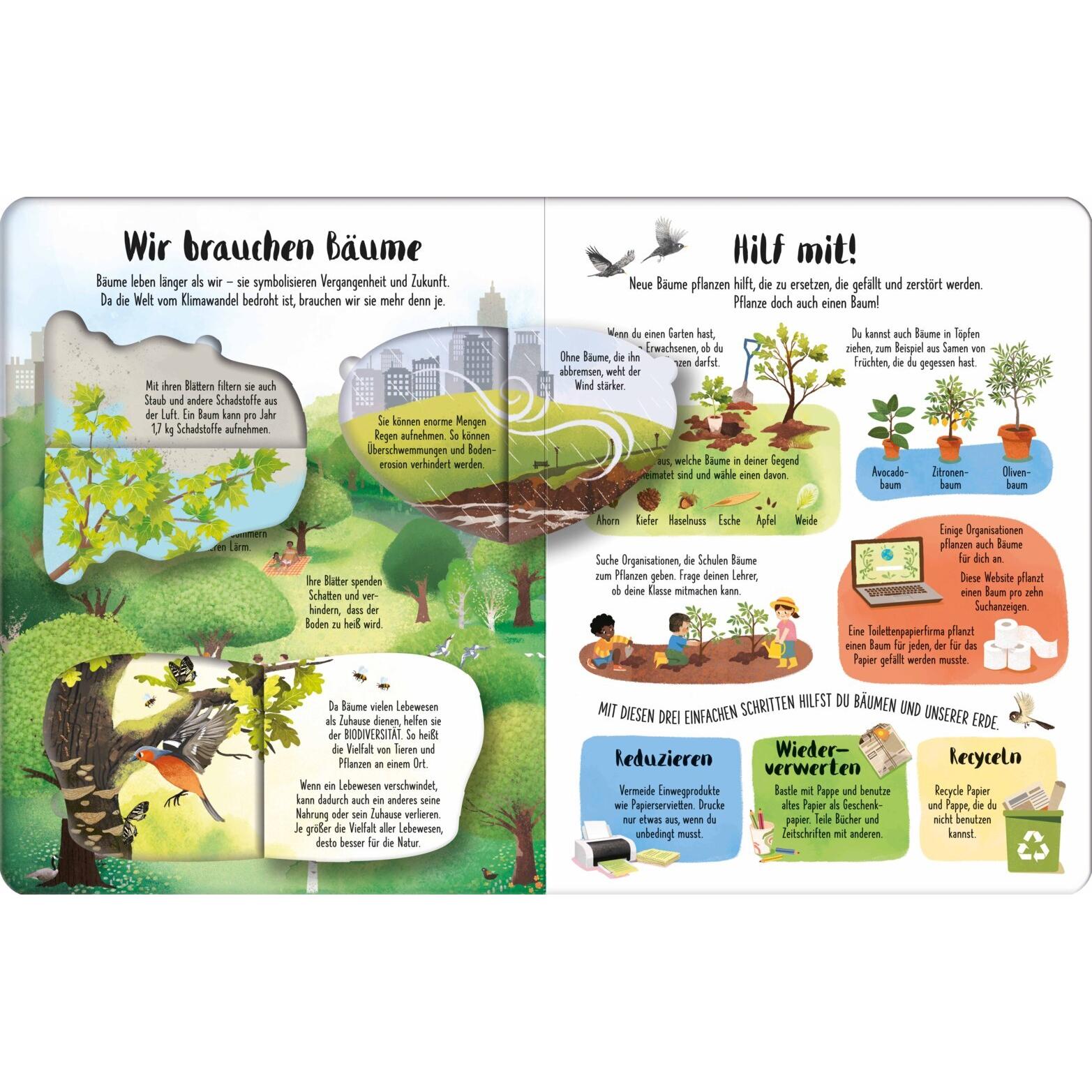 Thumbnail - Ich weiss mehr! Bäume, Kinderbücher von Emily Bone, Wazza Pink