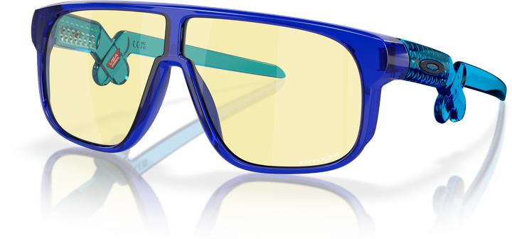 Produktbild Oakley Inverter