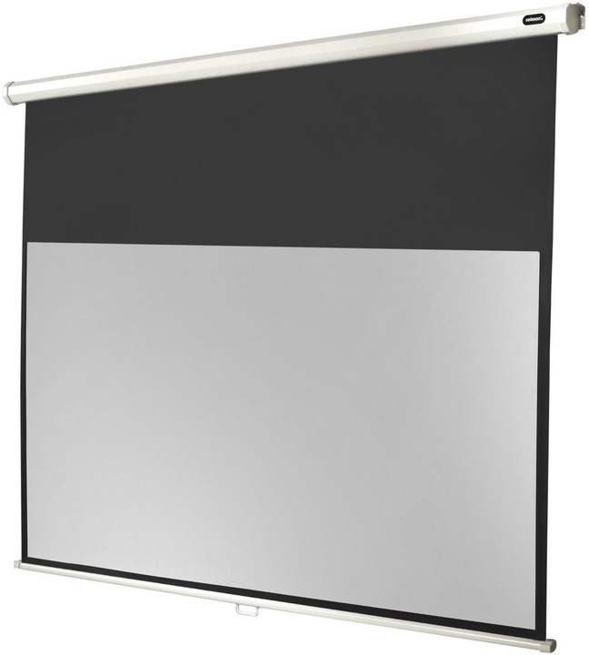 Actual product image Celexon Rollo Economy, Canvas, 16:9 (125.20", 16:9)