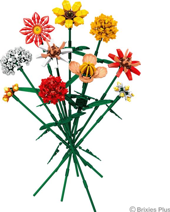Actual product image Brixies PLUS Bausatz Blumenstrauss