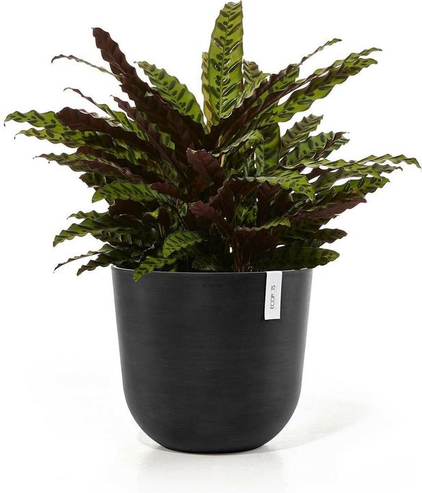 Produktbild Ecopots Oslo (35 x 30.50 cm)