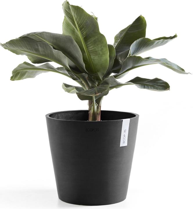 Actual product image Ecopots Amsterdam (30 cm)