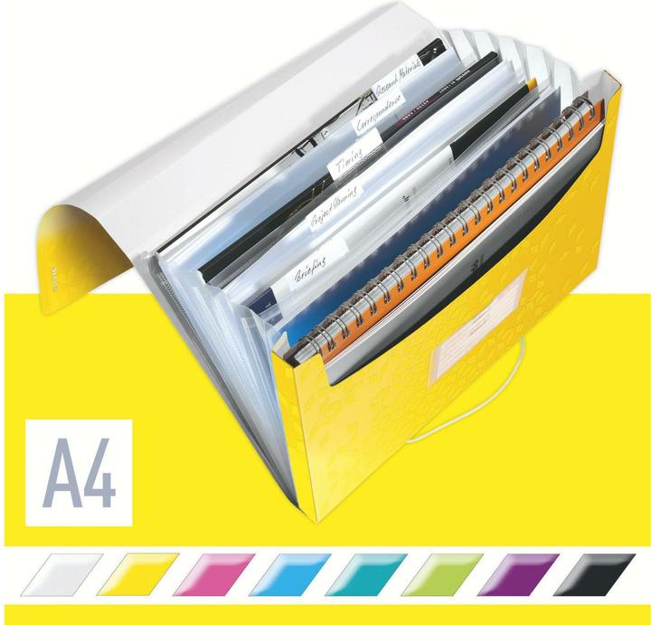 Image du produit Leitz WOW - Dossiers de projets (A4, 1 x)