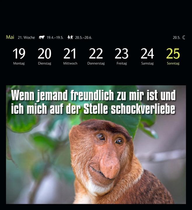 Produktbild Harenberg Animal Memes Postkartenkalender 2025 - 53 tierisch witzige Postkarten (16 x 17.5 cm, Kein Einband, Englisch, Deutsch)