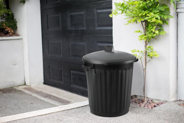 Produktbild EDA Gartenabfallbehälter mit Deckel 80 l (80 l)