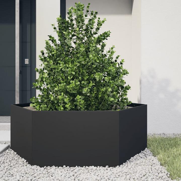 Produktbild vidaXL Pflanzkübel