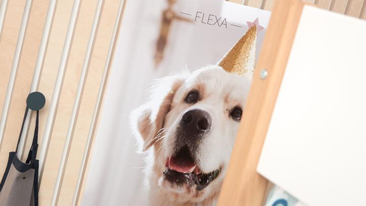 Actual product image Flexa Bed Nor with pull out bed (90 x 200 cm)