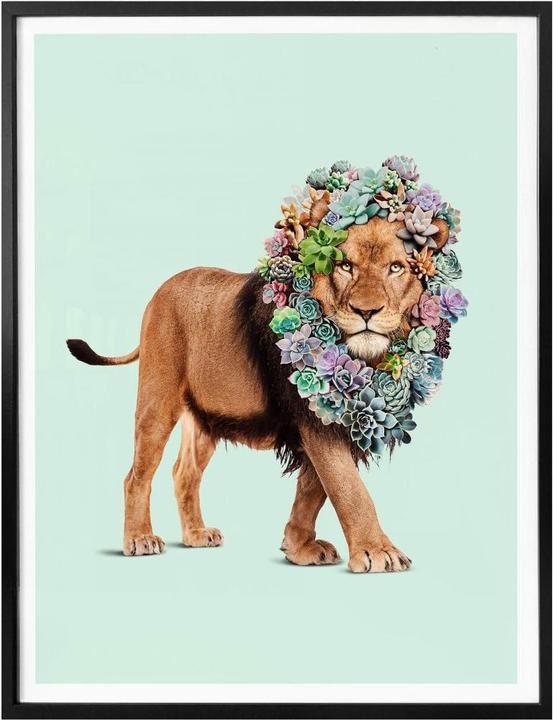 Immagine prodotto Trenddeko Sciolto - Leone Succulento (24 x 30 cm)