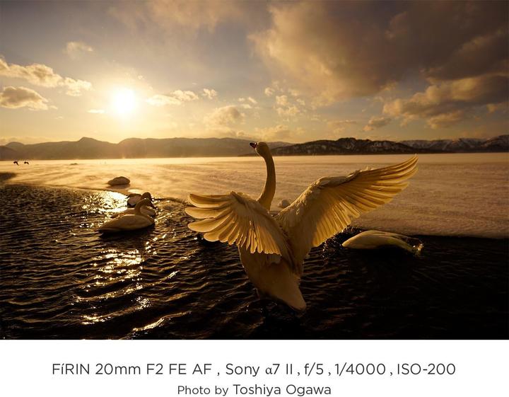 Produktbild Tokina Firin 20mm F2 FE AF Sony FF E-mount (Sony E, APS-C / DX, Vollformat)