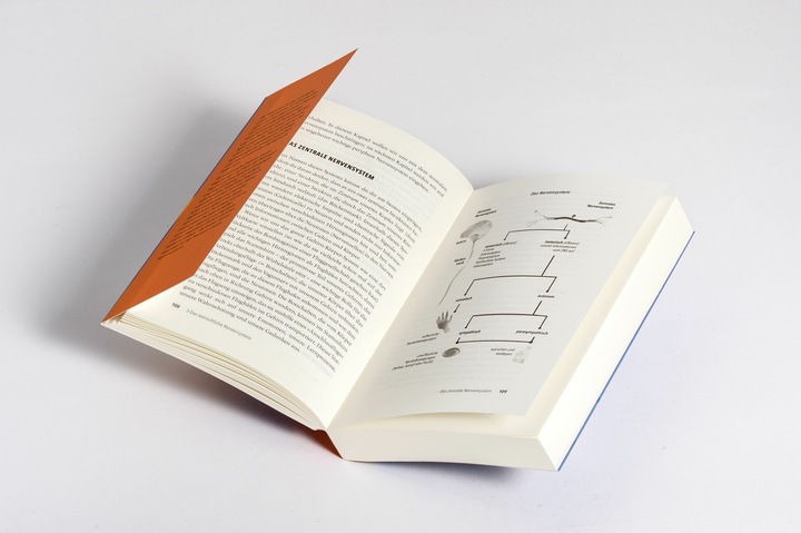 Immagine prodotto Das Vagusnerv-Reset-Programm (Tedesco, Jessica Maguire, Marion Zerbst, 2024)