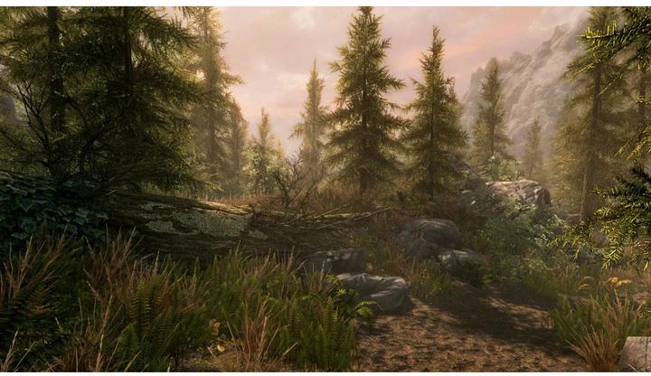 Produktbild Bethesda The Elder Scrolls 5: Skyrim Anniversary Edition (Xbox Series X, Xbox One S, Multilingual)