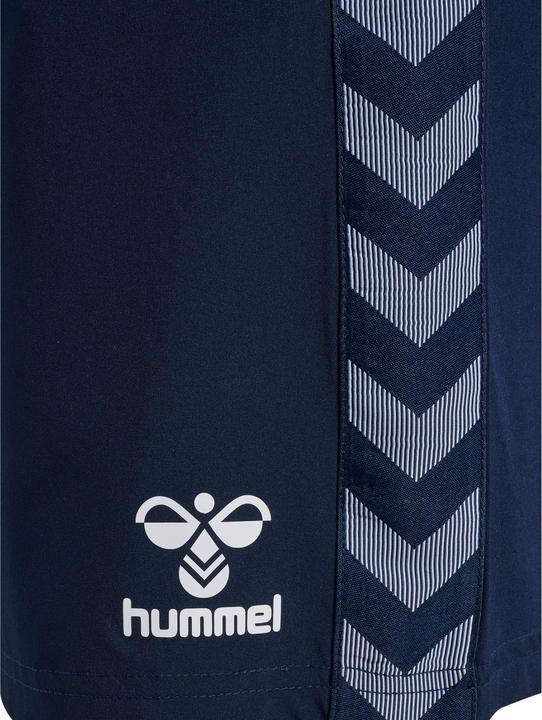 Image du produit hummel Short Training Danemark 2022/23 (L)