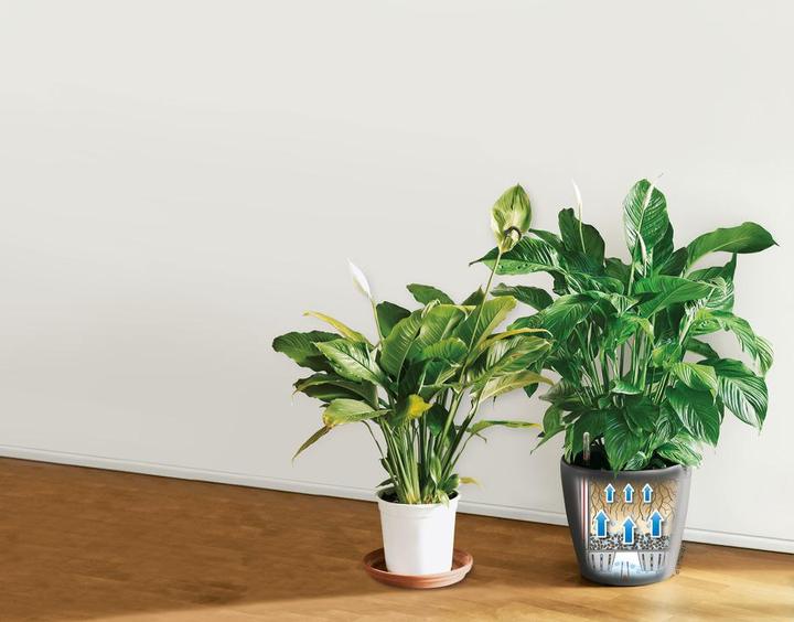 Actual product image Lechuza Classico (28.50 cm)