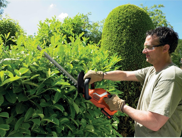 Immagine prodotto Black & Decker Gtc1845l20 (Tagliasiepi a batteria)