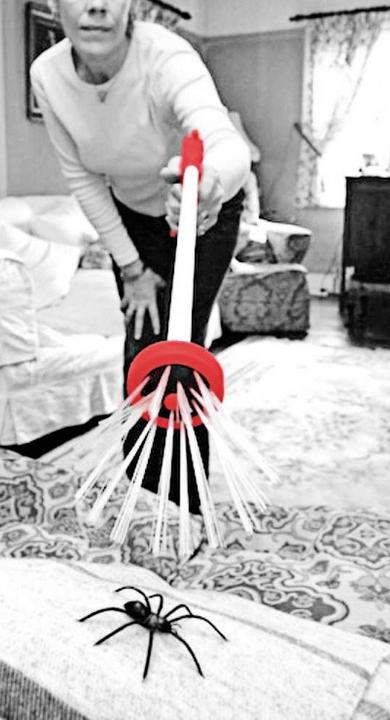 Actual product image Swissinno Spinnenfänger