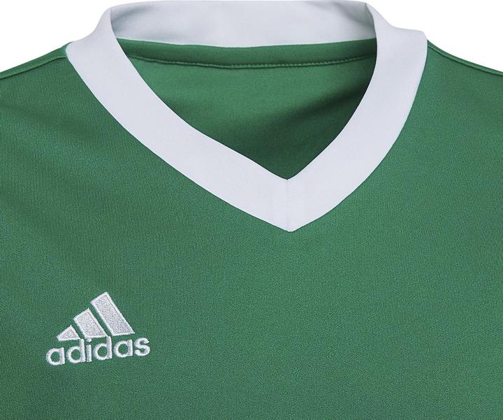 Produktbild adidas Entrada 22 Trikot (116)