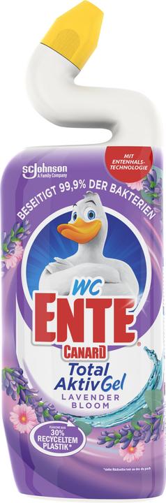 WC-Ente Lavendel