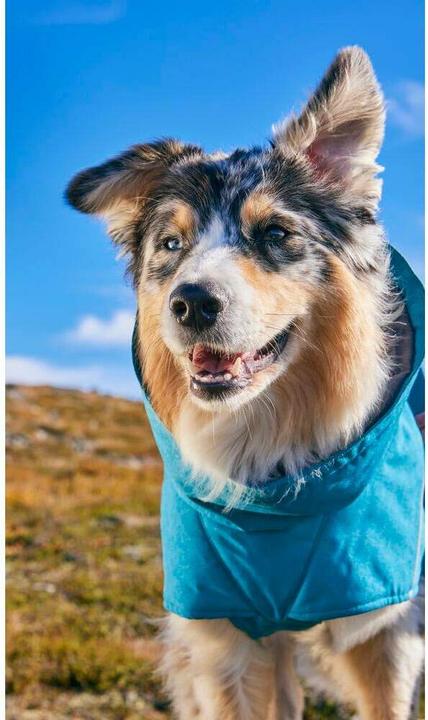 Actual product image Hurtta Expedition Parka II, ocean 40XS (Dog coat)