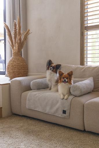 Immagine prodotto Designed by Lotte Cuscino per divano a coste (Cane)