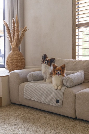 Productafbeelding Designed by Lotte Bankkussen Geribd (Hond)
