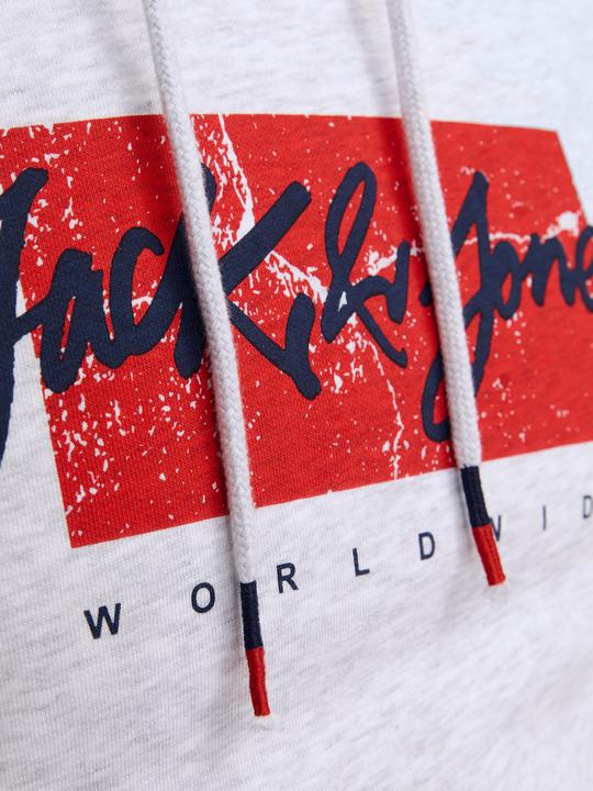 Actual product image Jack & Jones Jjtiley Sweat Hood Ln (S)